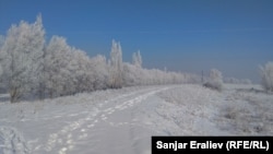 Чүй облусундагы Милянфан айылы.