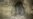 Tora Bora Offensive Continues In Afghanistan