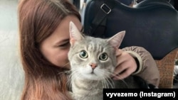 За майже чотири роки волонтерам вдалося вивезти майже 5 тисяч людей та ще декілька сотень тварин