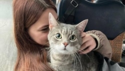 В Україні офіційно зареєстровано 4,62 мільйона внутрішньо переміщених осіб (ВПО)