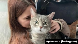 В Україні офіційно зареєстровано 4,62 мільйона внутрішньо переміщених осіб (ВПО)