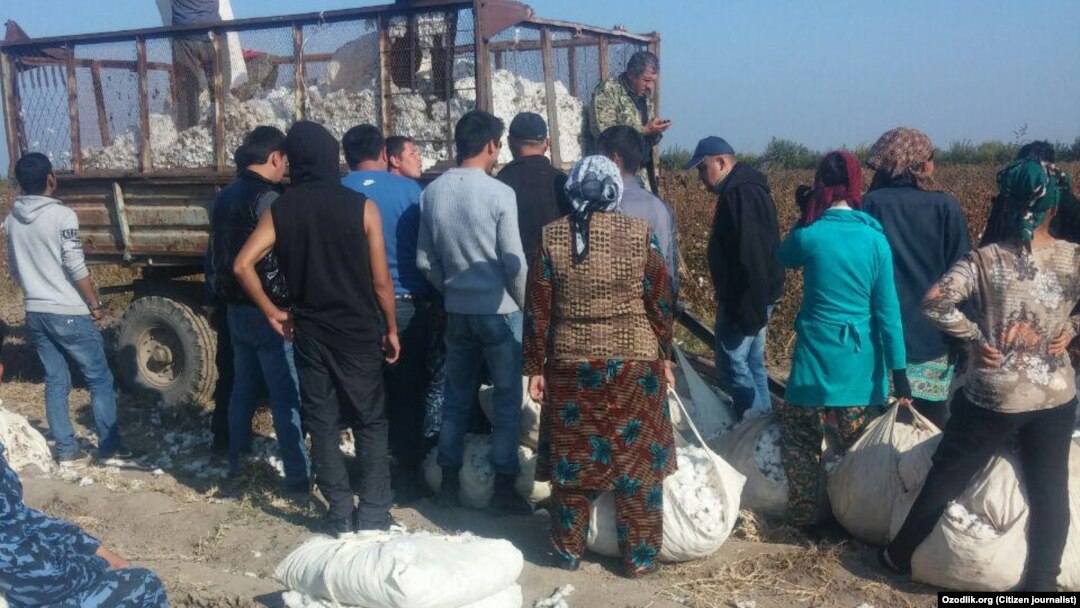 Тошкент вилоятига водийдан келиб пахта тераëтган ҳашарчилар.