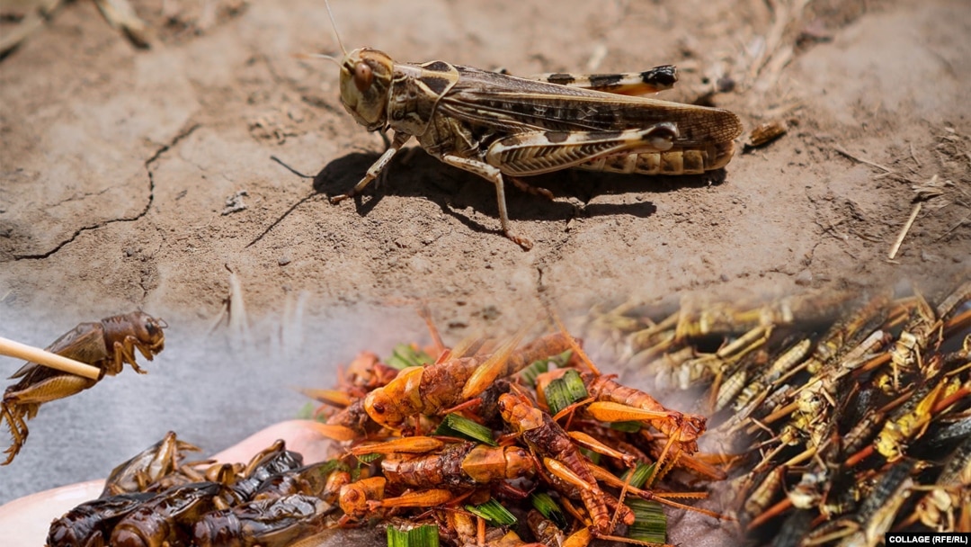 Кино секс тижоли