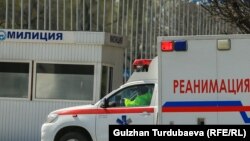 Иллюстрациялык сүрөт. 