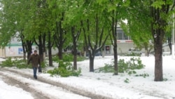 Viscol în aprilie