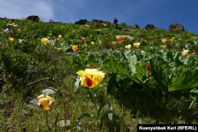 Екі литрлік бөтелкемен фистинг порно видео