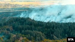 илустрација