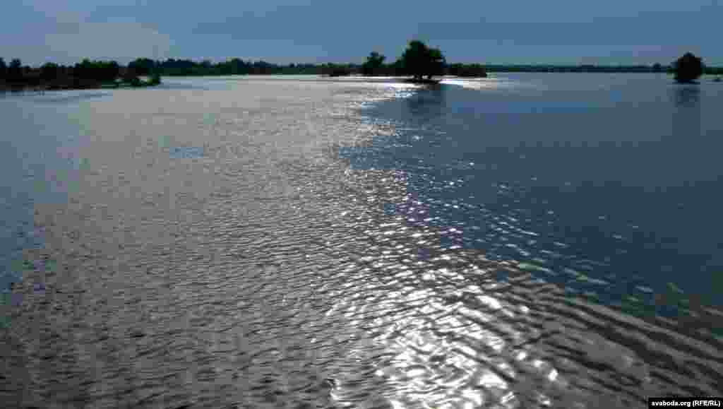 Прыпяць на Петрыкаўшчыне