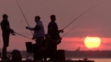 CRIMEA - - Fishermen fish in Apollo Bay - Sevastopol, Ukraine, 30May2021