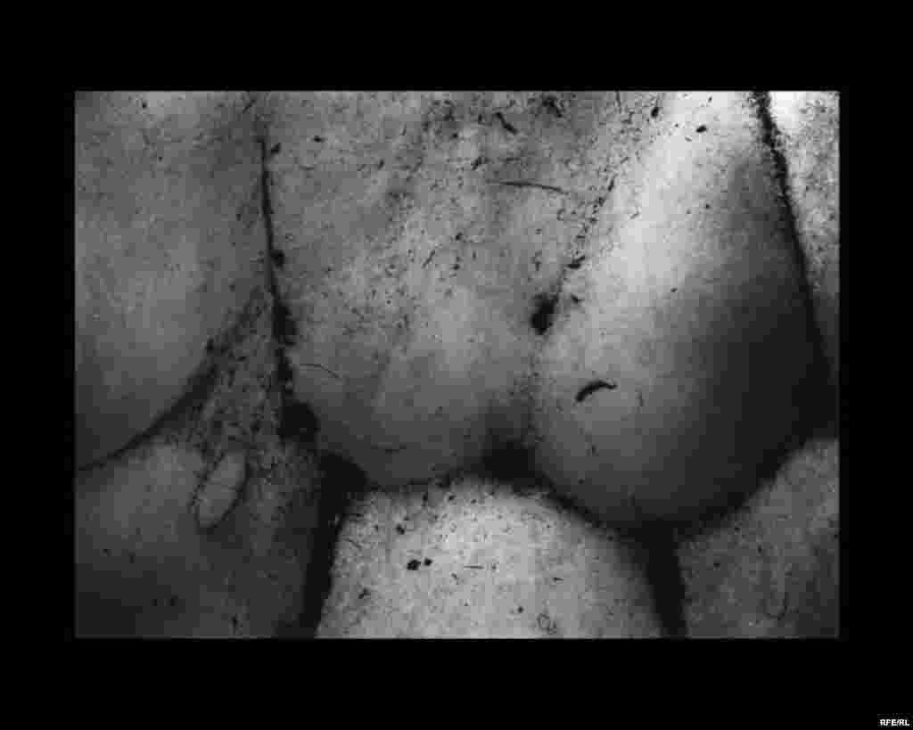 Kënga e fundit e akullnajës #10