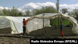 Тутунари во долненското село Заполжани.