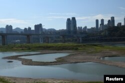 Albia expusă a fluviului Yangtze în orașul Chongqing, 17 august 2022.