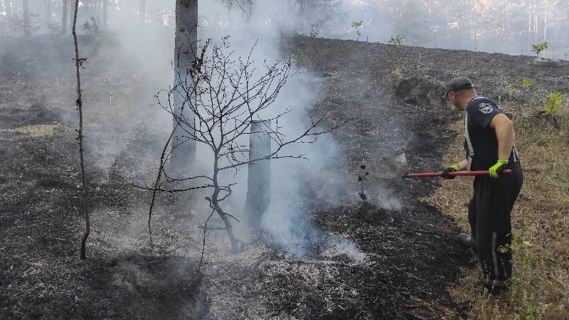 Голем пожар во близина на Велес 