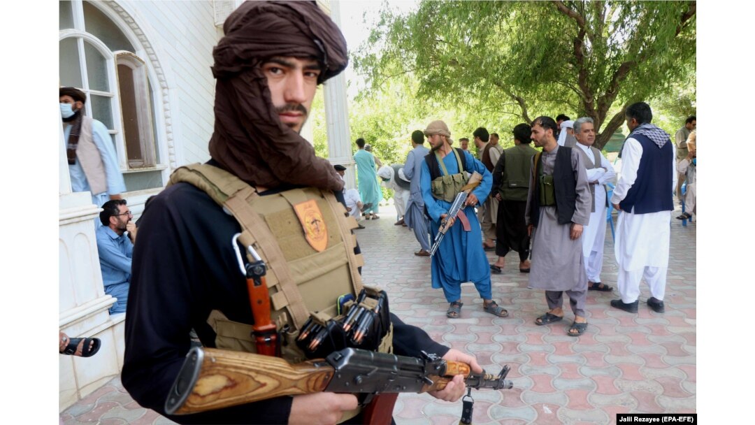 Taliban mujahideen vs Fact Check: