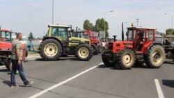 Mlinari traže više cijene otkupa pšenice