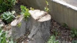 Как благоустройство села в Таджикистане закончилось судом и крупным штрафом