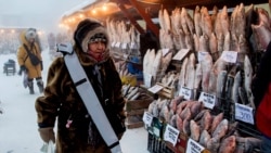 На рыбном рынке в Якутии