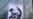 Хто напаў на офіс БНФ? <img src="/img/icon-photogallary.gif" border=0 />