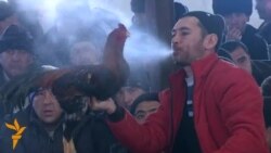 Оштогу короз уруштуруу