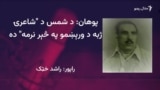 ادیبان وايي د شمس شاعري جدا رنګ لري