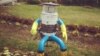 HitchBot