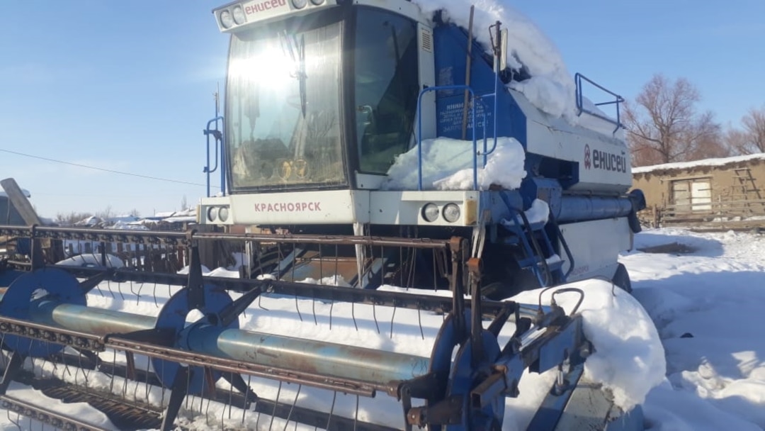 Жалқау қаншық трусисын шешіп, қоғамдық жерге зәр шығаруға отырды.