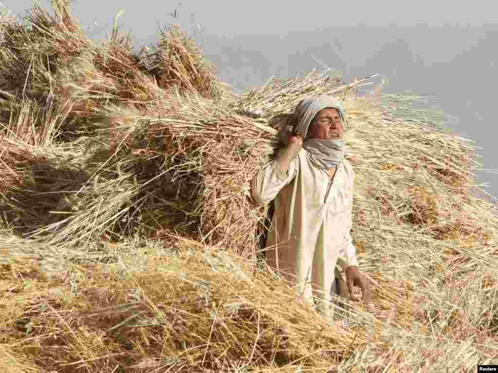 A boy carries hay in a field outside the village of Nakhonay in Panjwai district, southern Afghanistan. Photo by Denis Sinyakov (Reuters)