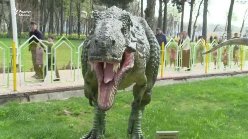 Дандонҳои динозаври Душанберо кӣ шикаст?