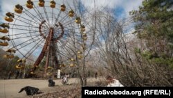 Найближчим часом до зони відчуження планують почати доправляти відпрацьоване ядерне паливо з Рівненської, Хмельницької та Південно-Української атомних електростанцій