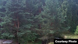 Общий вид артиллерийских позиций форта Красная Горка (форт Алексеевский). [Фото — <a href="http://www.nortfort.ru" target=_blank>«Северные крепости»</a>]