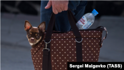 Сумка туриста в Крыму. Иллюстративное фото