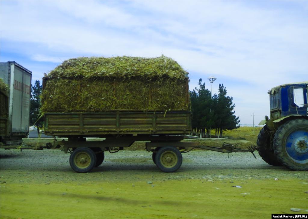 Üsti mallar üçin şulha ýüklenen bir tehnika