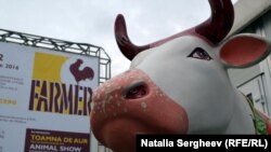 La expoziția „Farmer” de la Chișinău