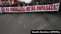 Контрапротест в защита на правителството "Орешарски" през ноември 2013 г.