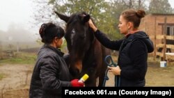 Марина Панюшкина і Аліса Журик, які вивезли табун коней із зони бойових дій