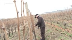 Սահմանամերձ Պառավաքարում սահմանազատումից մեծ սպասումներ չունեն

