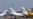 Aeroportul Leipzig/Halle, după ce o dronă a fost găsită în apropierea unei piste.