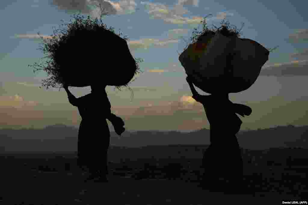 Women carrying firewood on their heads are silhouetted against the mountains in Kabul.