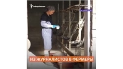 Из журналистов в сыровары. Как семья из Сибири сменила профессию