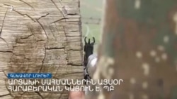 Փաշինյանն անդրադարձել է Արցախի սահմանային լարմանը _ Լրատվական կենտրոն _ օգոստոսի 4, 2022