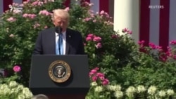 Трампу Путин дар бораи чӣ гуфтугӯ карданд? 