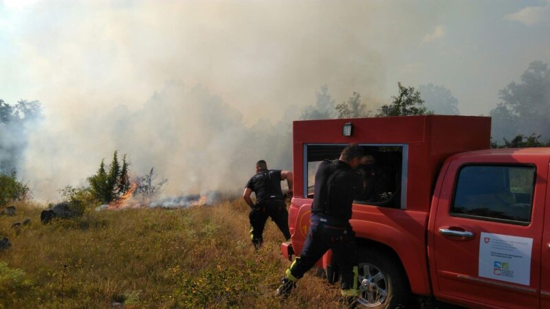 Македонија ги губи шумите во пожари - има ли систем за превенција?