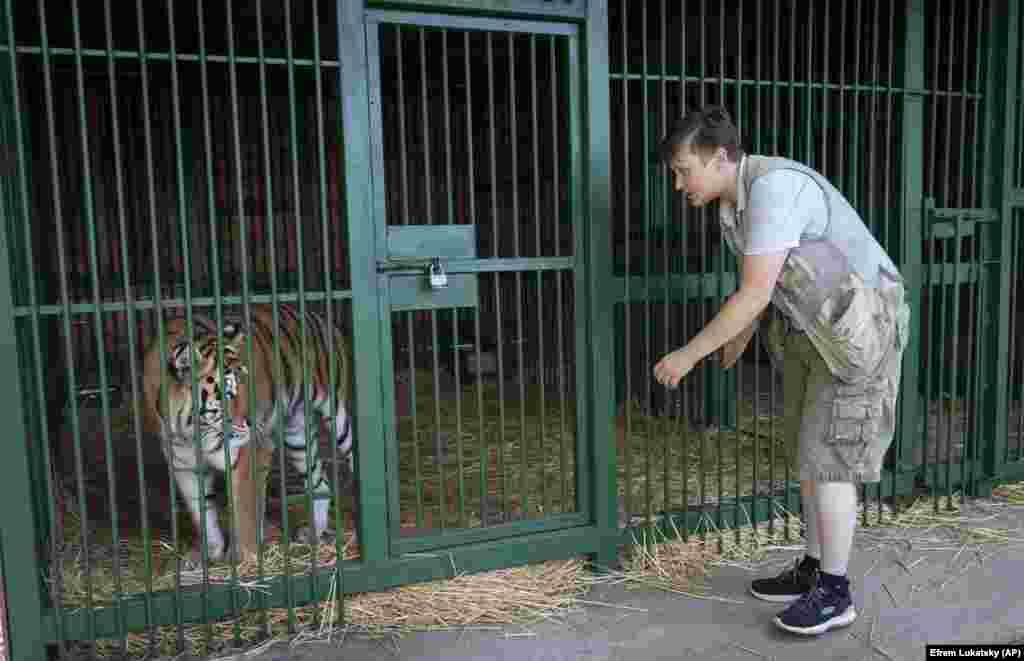 Situat în satul Ciubînske din regiunea Kiev, adăpostul Nataliei Popova are 133 de animale, inclusiv 13 lei, un leopard, un tigru, urși și trei căprioare pe care le-a salvat în speranța că le găsi o casă nouă sau că le va trimite în străinătate. Ea spune că adesea tremură de frică atunci când merge cu mașina în regiunile estice ale Ucrainei pentru misiuni de salvare a animalelor. &bdquo;Bineînțeles, este înfricoșător. Bineînțeles, este periculos&rdquo;, spune ea. &bdquo;A trebuit să învăț o mulțime de lucruri, pentru că niciun veterinar nu ar merge în prima linie.&rdquo;