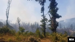 Пожар во делчевско, во атарот на село Разловци