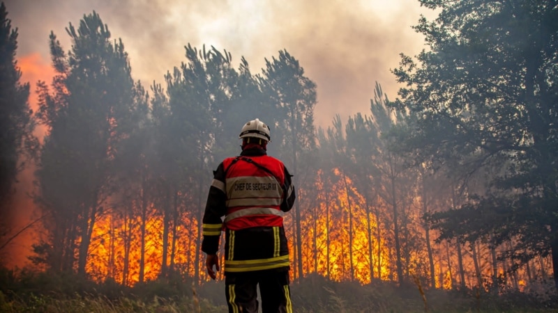 Šumski požari u Francuskoj i Španiji usred toplotnog vala 