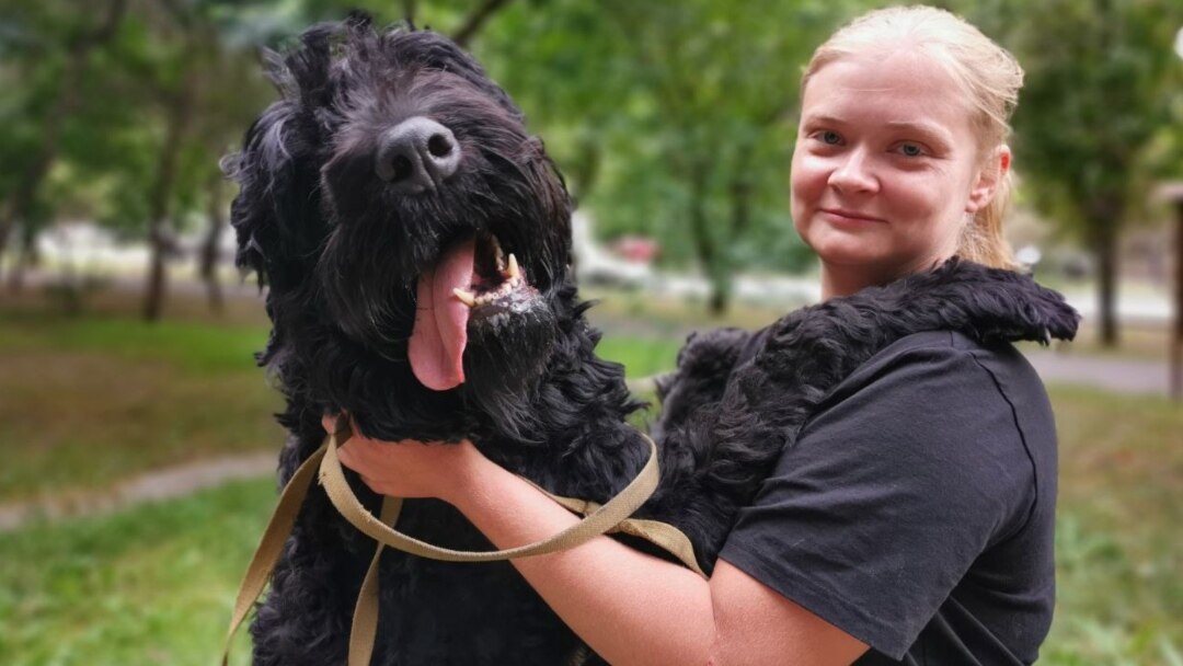 Гей-мигранттың порносын көріңіз