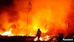 Европа во битка со шумските пожари