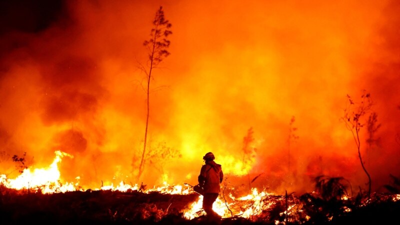 Franca duhet “të investojë më shumë në luftimin e zjarreve”