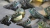 Američka bik-žaba, latinskog imena lithobates catesbeianus, može da naraste i do 30 centimetara dužine.