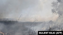 Дым от горящих полей в окрестностях Бахмута, Донецкая область, 31 июля 2022 г.